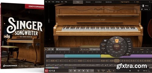 Toontrack Singer-Songwriter EKX v1.0.0