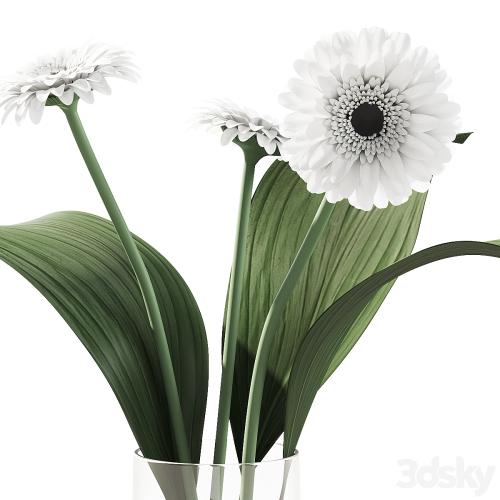 021 Flowers and leaves in vase indoor decor plant