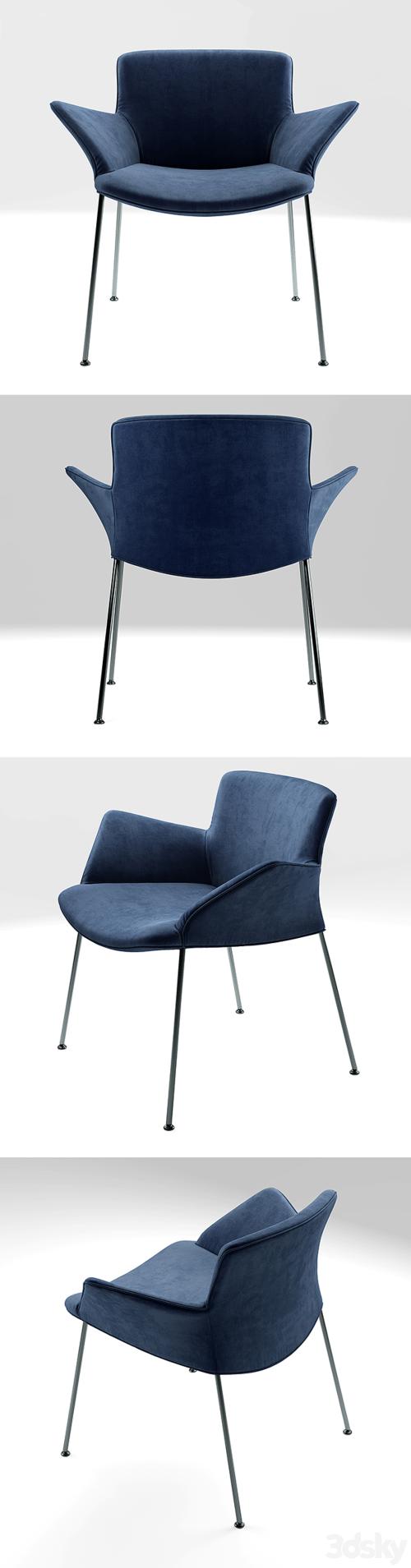 Armchair walter knoll Burgaz Chair