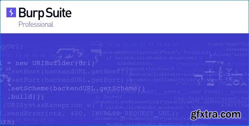 4Burp Suite Professional 2024.5.4