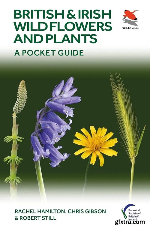 British and Irish Wild Flowers and Plants: A Pocket Guide (WILDGuides)