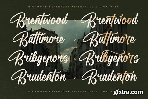 Richmond Barentony Modern Handbrush Script 7436V72