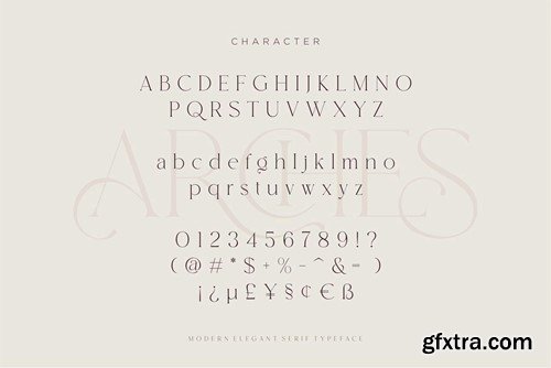 ARCHES Modern Serif Typeface PJ2YRY9