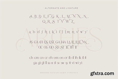 ARCHES Modern Serif Typeface PJ2YRY9