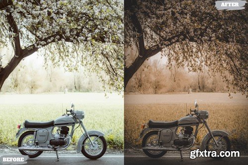 Classic Film Lightroom Presets Dekstop and Mobile FWP22CM