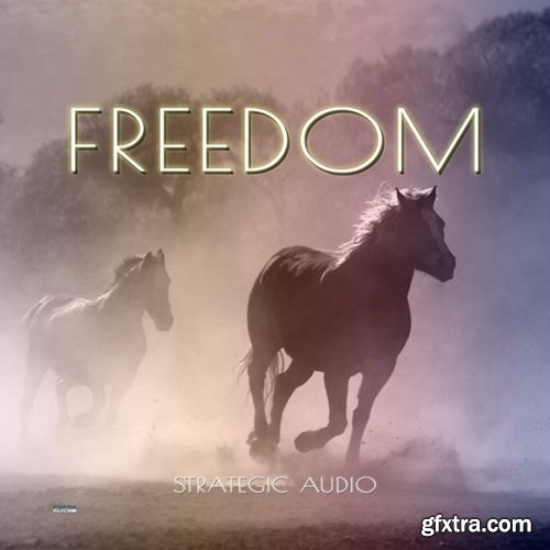 Strategic Audio Freedom