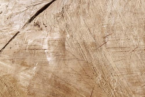 Wood Texture HQ
