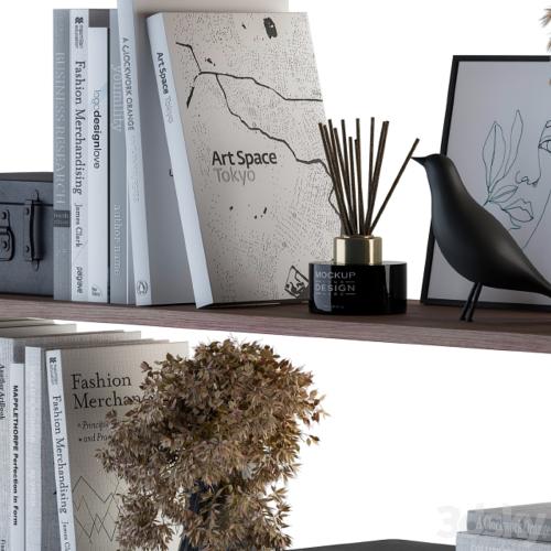 Decorative Set on Shelves White book and Dried Plants