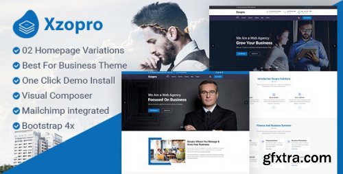 Themeforest - Xzopro - Finance And Business WordPress Theme 22303166 v1.1.5 - Nulled