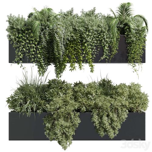 wall plant - hanging plants collection Indoor plant 219