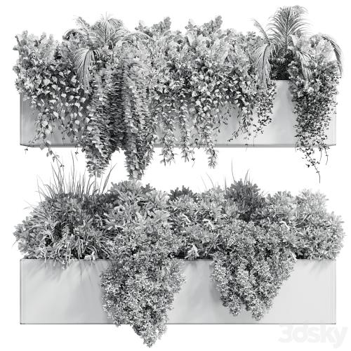 wall plant - hanging plants collection Indoor plant 219