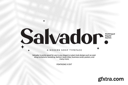 Salvador - Modern Serif Typeface 5P2KXSB