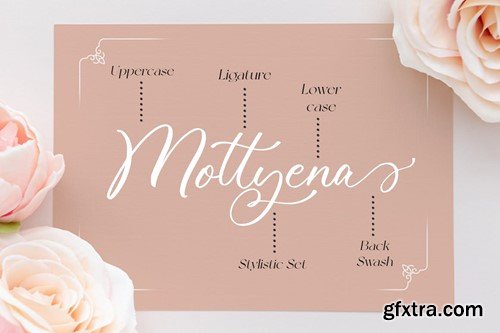 Omeliana - Wedding Font XY24G63