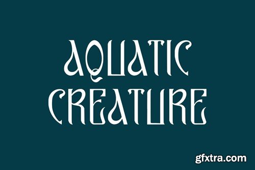 Aquizza Decorative Display Font RFYX3RY