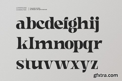 Noorliza - Modern Serif Ligature Font NSFA6KQ