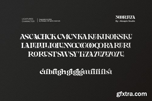 Noorliza - Modern Serif Ligature Font NSFA6KQ