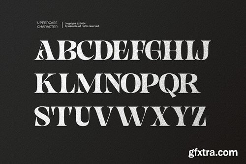 Noorliza - Modern Serif Ligature Font NSFA6KQ