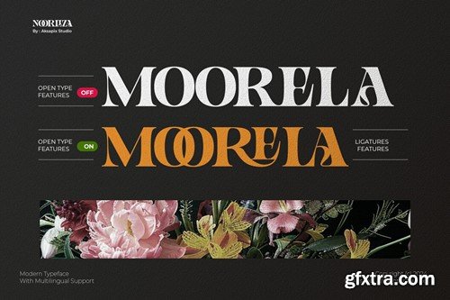 Noorliza - Modern Serif Ligature Font NSFA6KQ