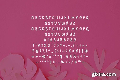 Fanwosh - Decorative Display Font QLMJ5M3