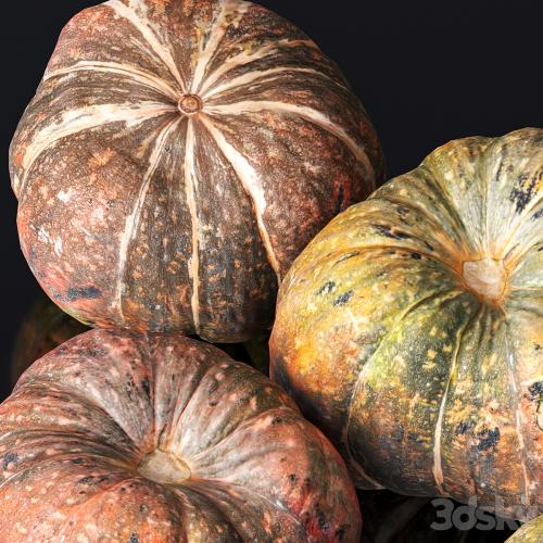 Pumpkin. 5 models