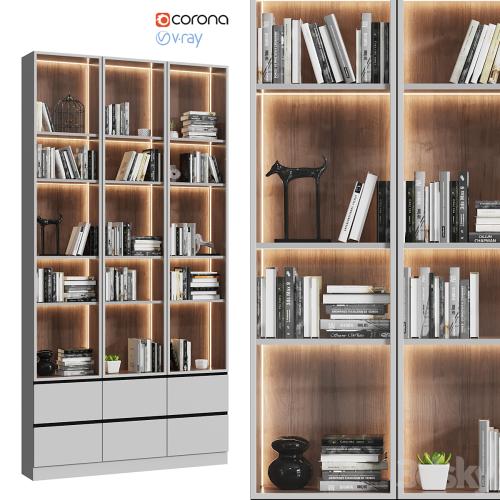 Showcase cabinet with books