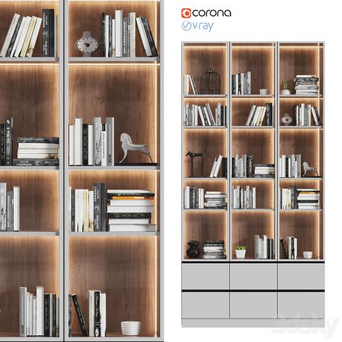 Showcase cabinet with books