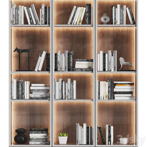 Showcase cabinet with books