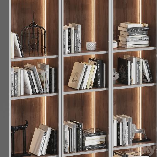 Showcase cabinet with books