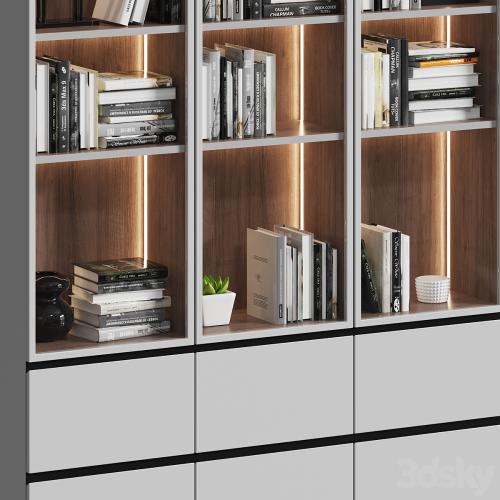 Showcase cabinet with books