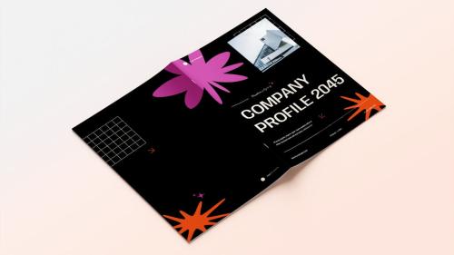 Black Orange Creative Agency Company Profile | 002