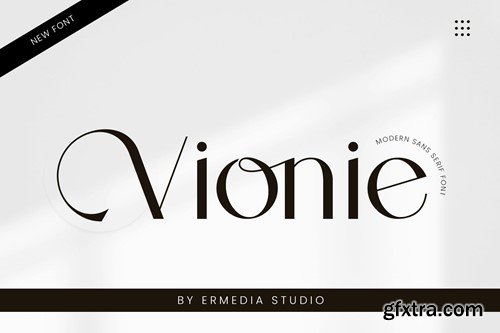 Vionie Sans Serif Font MCT3DU3