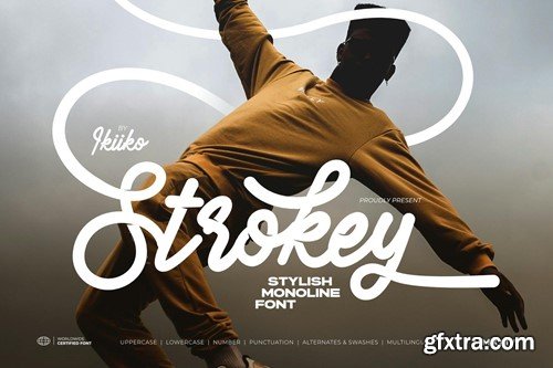 Strokey - Stylish Monoline Font 5DVN52V