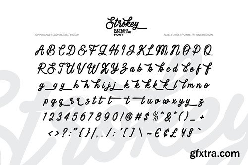 Strokey - Stylish Monoline Font 5DVN52V