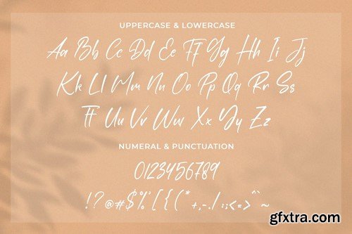 Rastenville - Signature Font N6QL8LB