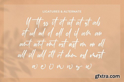 Rastenville - Signature Font N6QL8LB