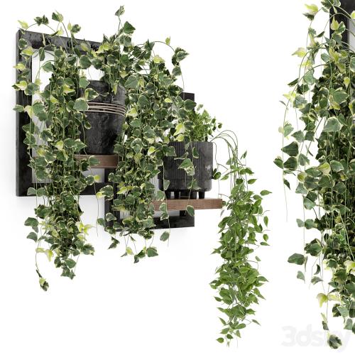 Indoor Plants in rusty Concrete Pot - Set 150