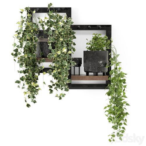 Indoor Plants in rusty Concrete Pot - Set 150