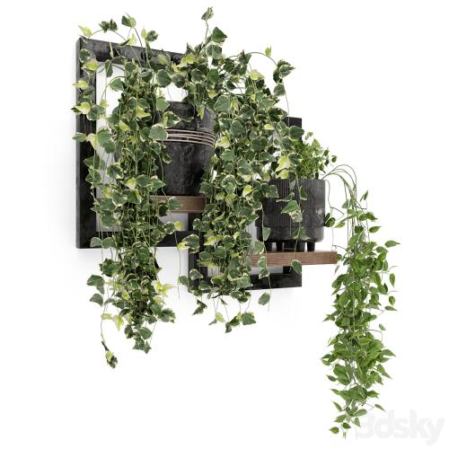 Indoor Plants in rusty Concrete Pot - Set 150