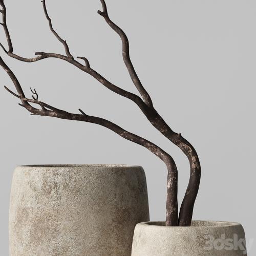 Artisan Rustic Vases with dry Branches