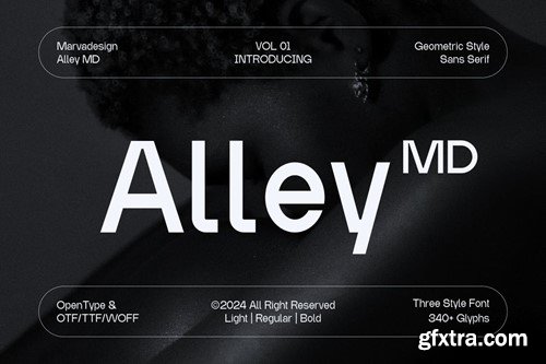 Alley MD - Modern Sans Serif Font BG2MGAJ