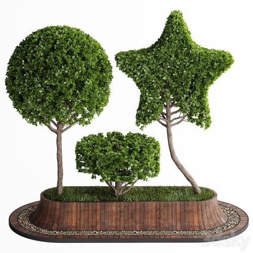 Topiary Trees 001