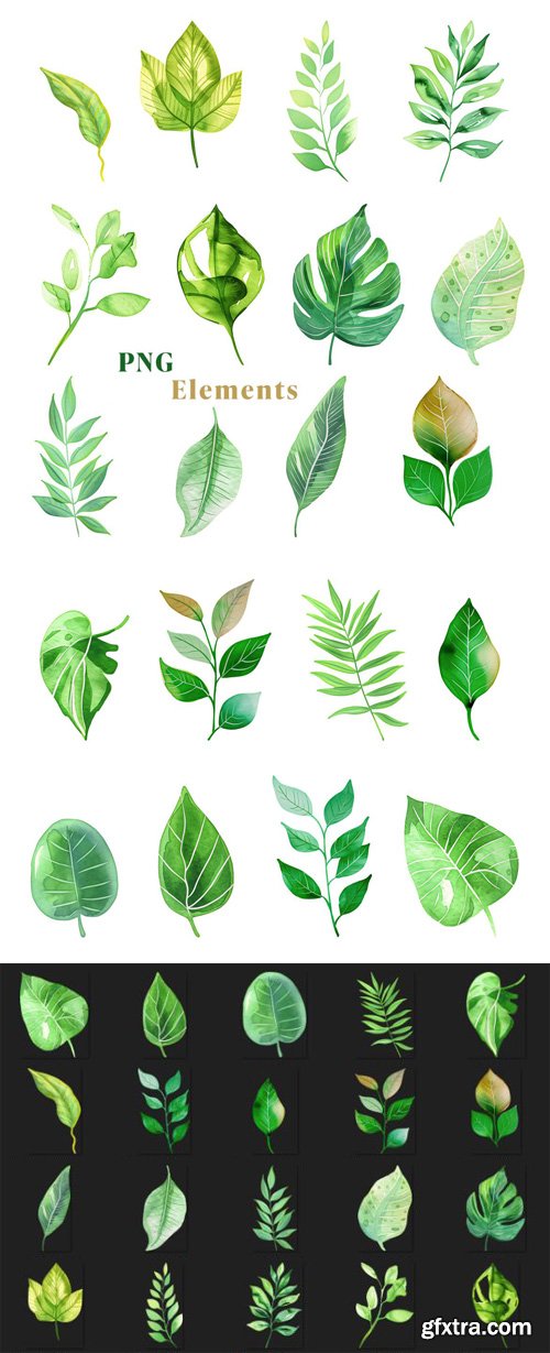 20 Watercolor Botanical Leaves