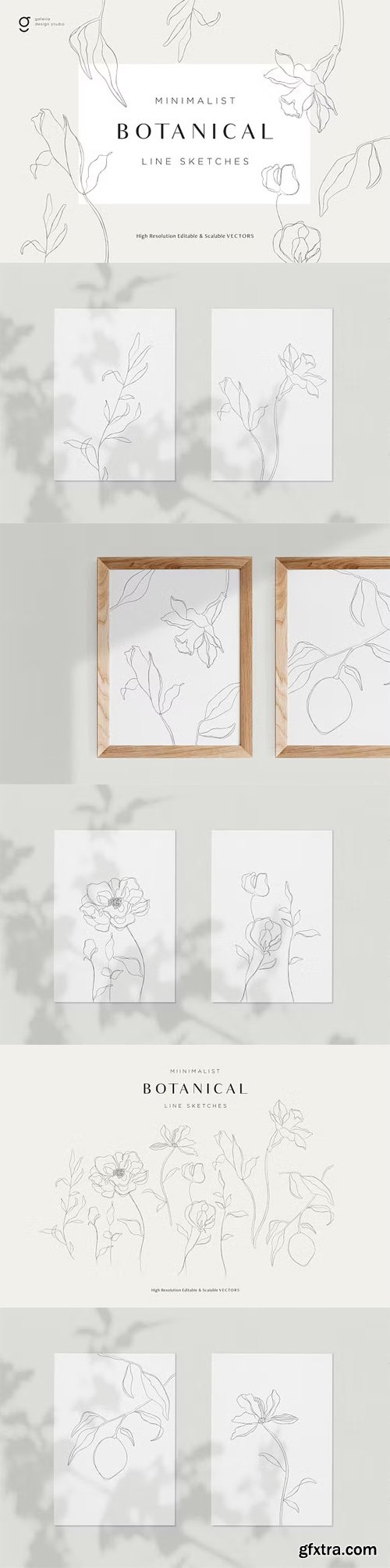 Minimalist Botanical Line Sketches for Illustrator