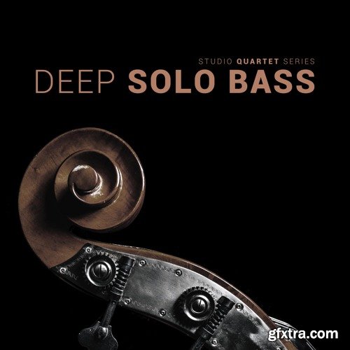 8Dio Studio Quartet Series Deep Solo Bass