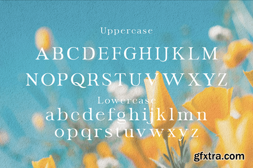 Hranfsey - Modern Serif Display Font FZ2SC3Z