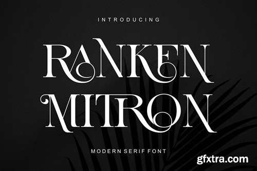 RANKEN MITRON Modern Ligature Serif 3K2WUZW