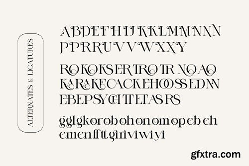 RANKEN MITRON Modern Ligature Serif 3K2WUZW