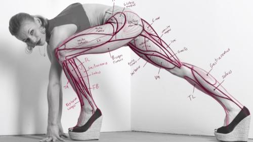 Udemy - Anatomy 2.0 Draw the Figure From Imagination