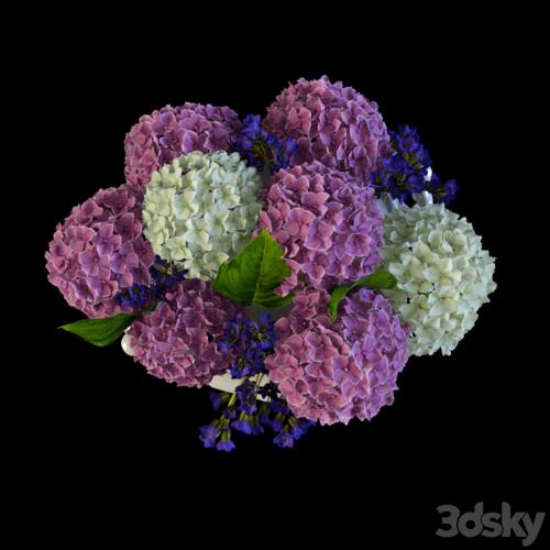 Hydrangea in a vase