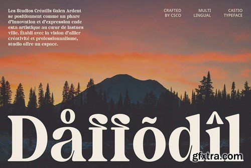 Castio – Bold Font YN9TARG